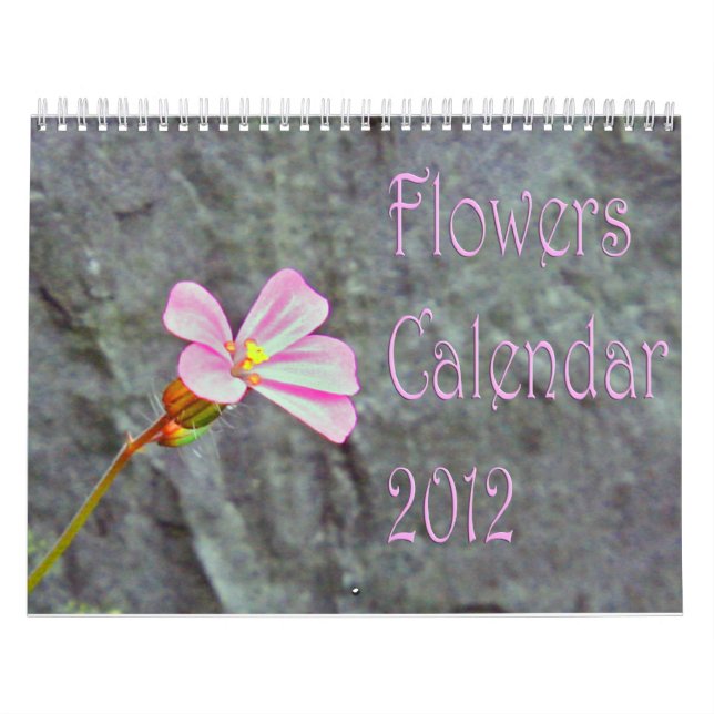 Blommor Calendar 2013 Kalender (Omslag)
