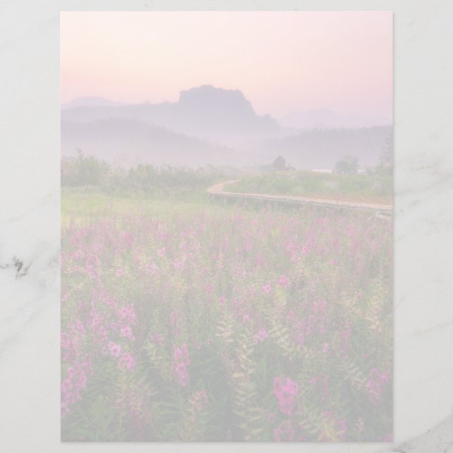 Blommor | Chiang Dao, Chiang Mai, Thailand (Framsida)