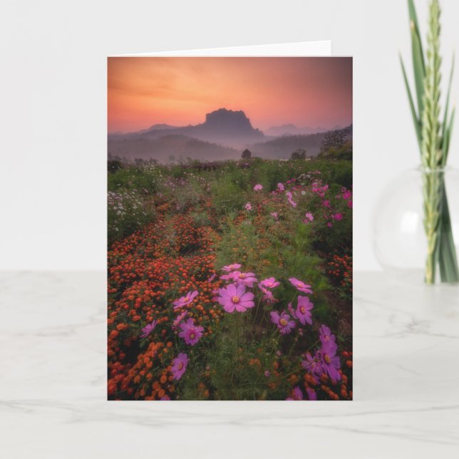 Blommor | Chiang Dao, Chiang Mai, Thailand Kort (Framsida)