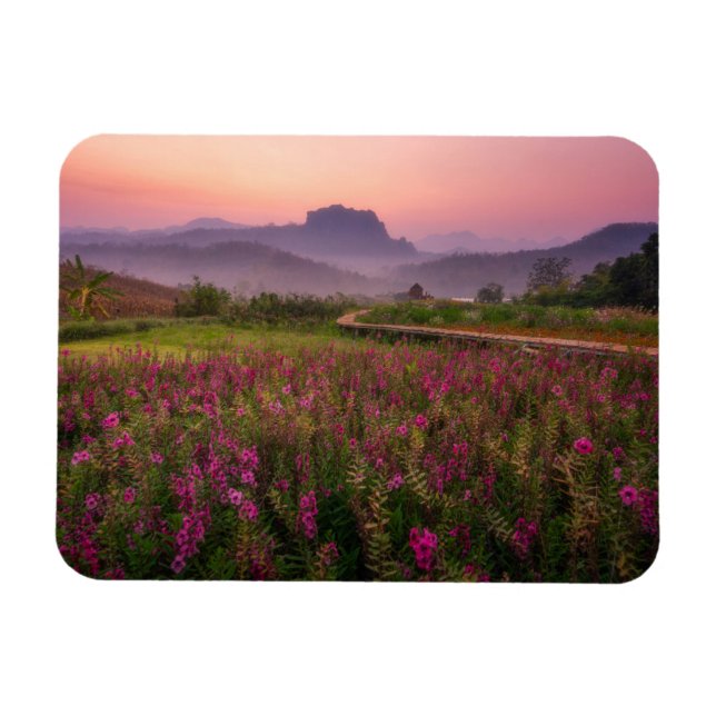 Blommor | Chiang Dao, Chiang Mai, Thailand Magnet (Horisontell)