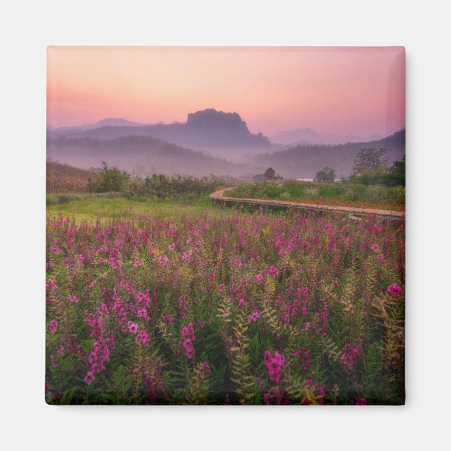 Blommor | Chiang Dao, Chiang Mai, Thailand Magnet (Framsidan)