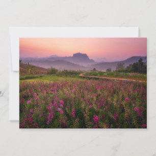 Blommor Chiang Dao, Chiang Mai, Thailand Tack Kort