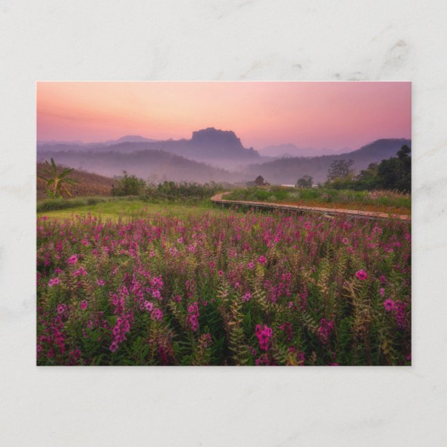 Blommor | Chiang Dao, Chiang Mai, Thailand Vykort (Framsida)