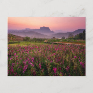 Blommor Chiang Dao, Chiang Mai, Thailand Vykort