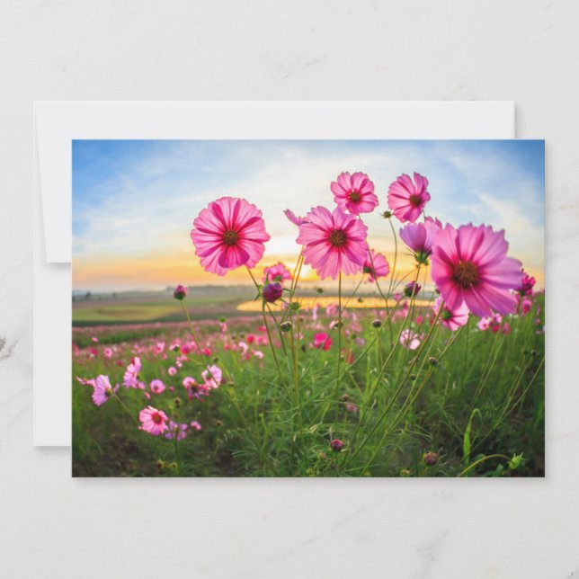 Blommor |Chiang Rai Province, Thailand Tack Kort (Framsida)