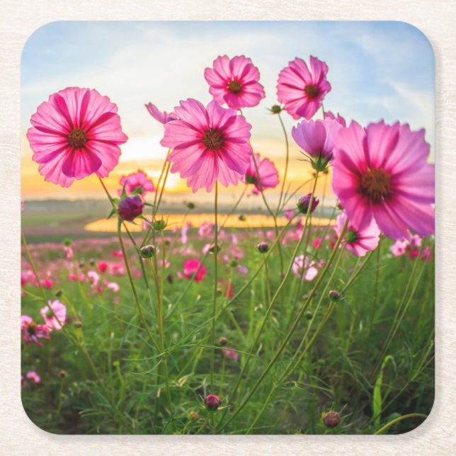 Blommor |Chiang Rai Province, Thailand Underlägg Papper Kvadrat (Framsidan)