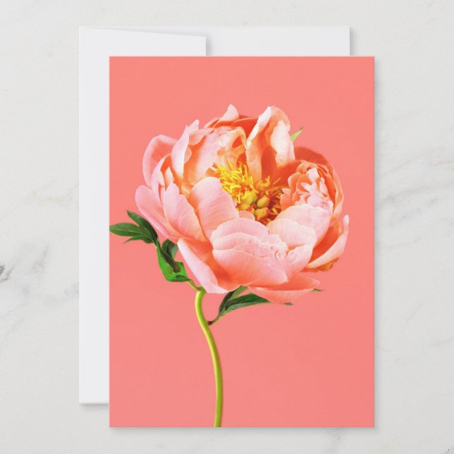 Blommor | Coral Peony Blommar Tack Kort (Framsida)