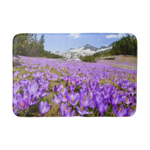Blommor Crocus Pirin Mountain Park Bulgarien Badrumsmatta
