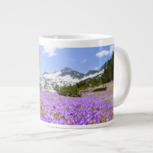 Blommor Crocus Pirin Mountain Park Bulgarien Jumbo Mugg