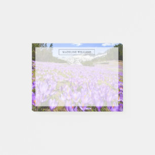 Blommor Crocus Pirin Mountain Park Bulgarien Post-it Block