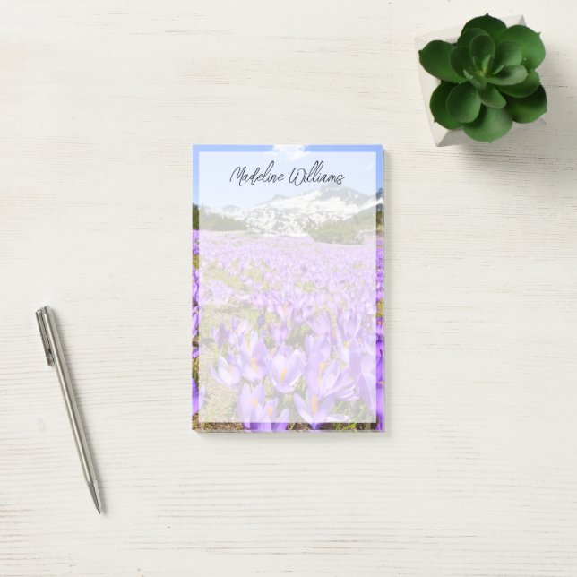 Blommor | Crocus Pirin Mountain Park Bulgarien Post-it Block (Kontor)