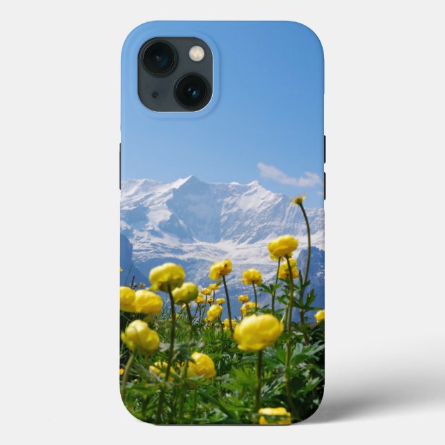 Blommor | Eiger Monch Schweiziska Alperna (Baksida)