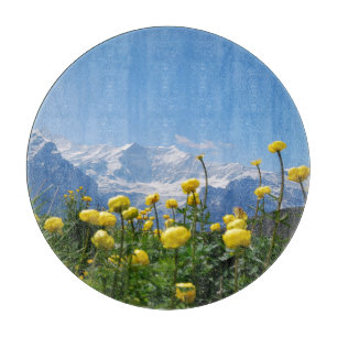 Blommor Eiger Monch Swiss Alpernas