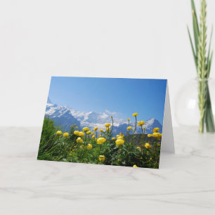 Blommor Eiger Monch Swiss Alpernas Kort