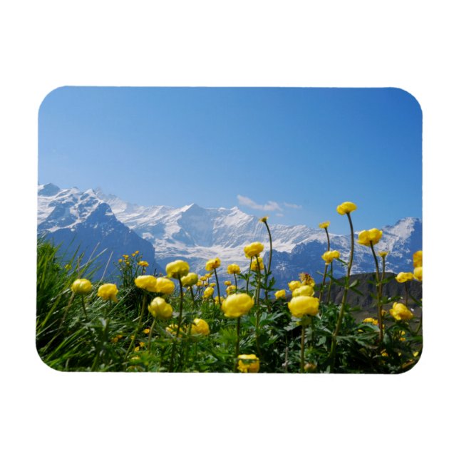 Blommor | Eiger Monch Swiss Alpernas Magnet (Horisontell)