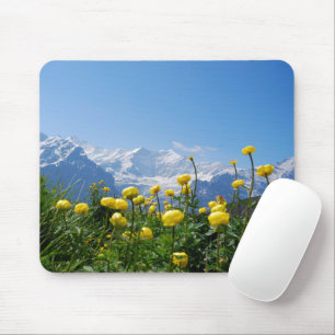 Blommor Eiger Monch Swiss Alpernas Musmatta