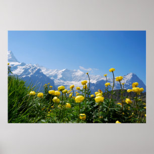 Blommor   Eiger Monch Swiss Alpernas Poster