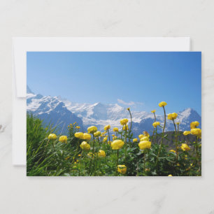 Blommor Eiger Monch Swiss Alpernas Tack Kort