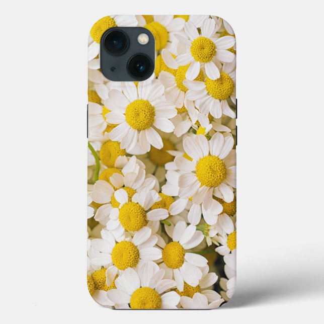 Blommor | En bukett kamomiller (Baksida)