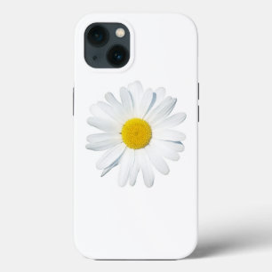 Blommor En Daisy