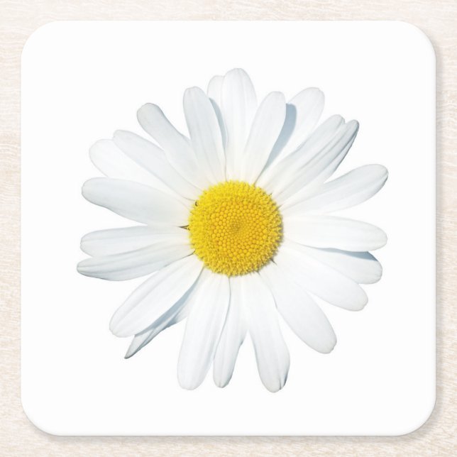 Blommor | En Daisy Underlägg Papper Kvadrat (Framsidan)