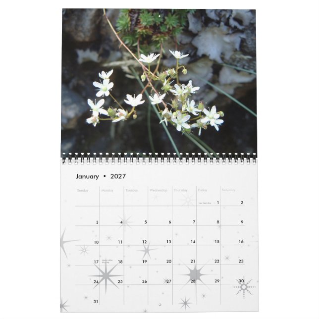 Blommor ett år av färg kalender (Jan 2027)
