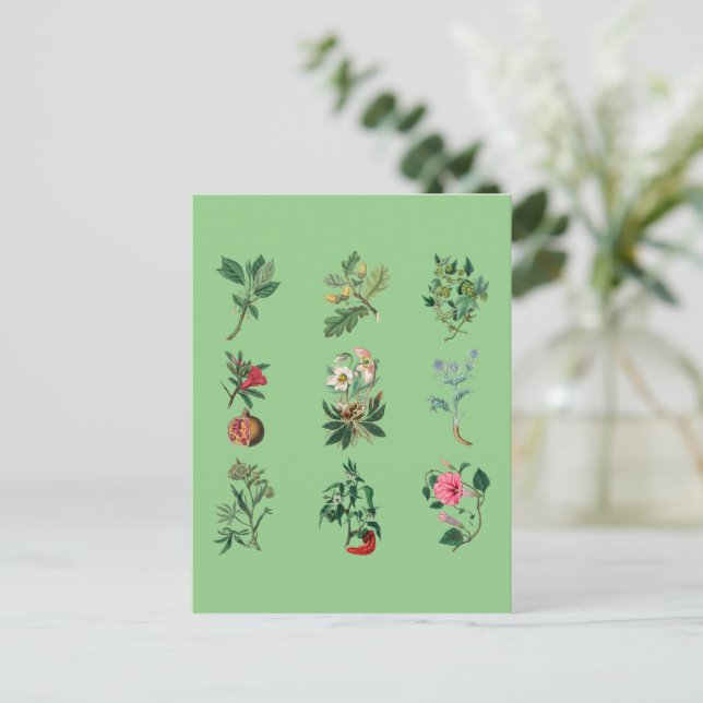 Blommor färggranna frukter och grönsak illustratio vykort (Stående Fram)