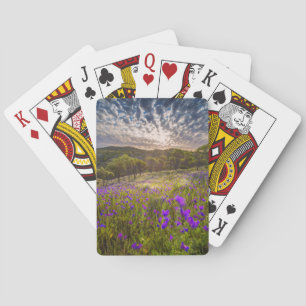 Blommor Flinders Ranges Australien Casinokort