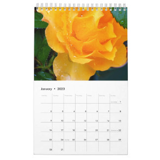 Blommor för 2023 kalender