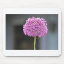 Blommor för alla musmatta