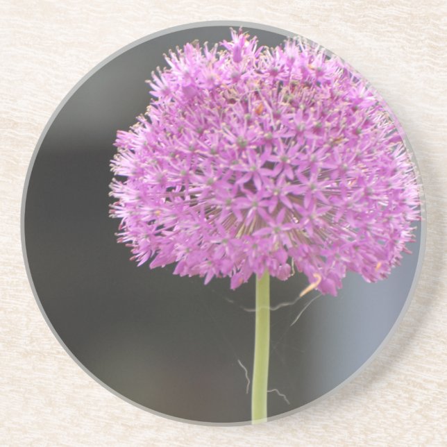 Blommor för alla underlägg sandsten (Framsidan)