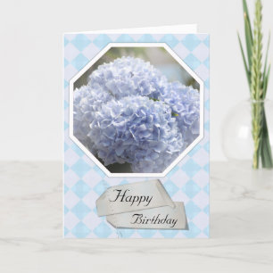 Blommor för blåttdiamantvanlig hortensia kort