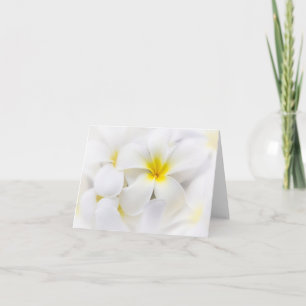 Blommor för blommigt för Frangipani för Kort