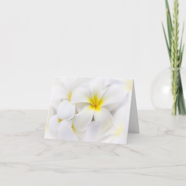 Blommor för blommigt för Frangipani för Kort (Framsida)