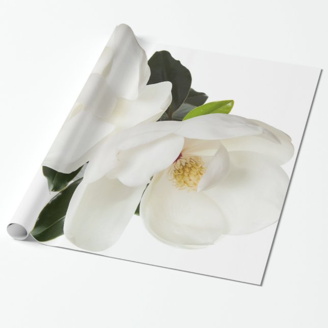 Blommor för blommigt för Magnolias för Presentpapper (Utrullad)