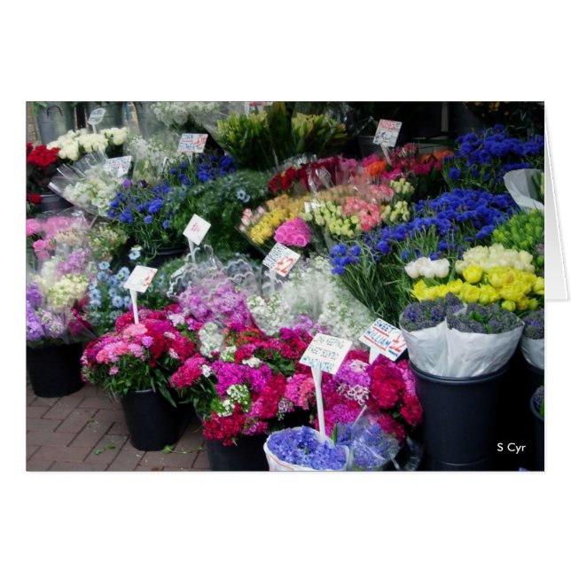 Blommor för försäljning, S-cyr Hälsningskort (Framsidan Horizontal)