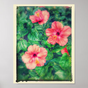 Blommor för hibiskus för vintagestil tropiska poster