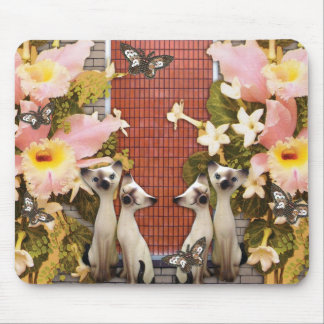 blommor för kattungekatskärlek musmatta