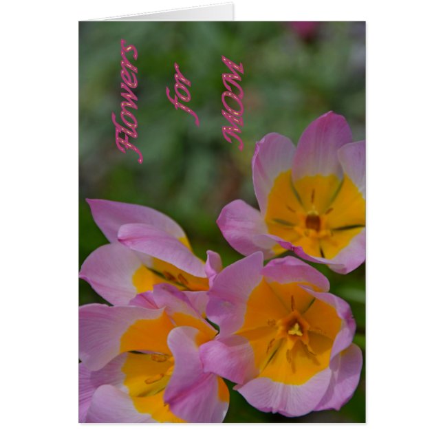 Blommor för Mamma Hälsningskort (Framsidan)