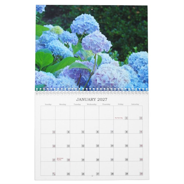 Blommor för mormorkalenderblomsterfotografi kalender (Jan 2027)