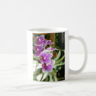 blommor för orchidkaffemugg kaffemugg