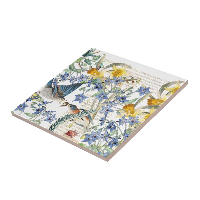 Blommor för pingstlilja för Audubon Kakelplatta (Sidan)