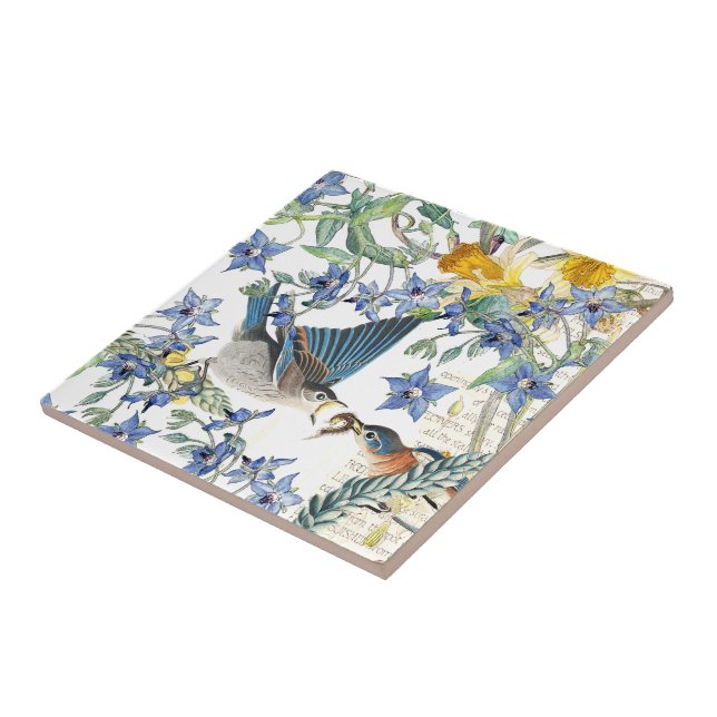 Blommor för pingstlilja för Audubon Kakelplatta (Sidan)