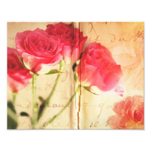 Blommor för ro för rosa rosbakgrundsCollage Fototryck