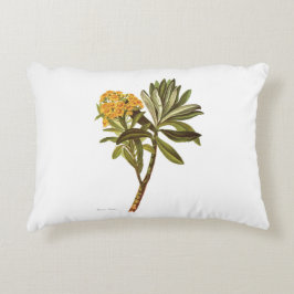 Blommor för vintagevetenskap NZ - Seneciohuntii Prydnadskudde