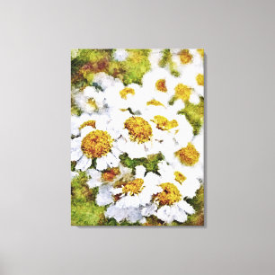 Blommor för vit Daisy - Färggrafik på arbetsytan Canvastryck