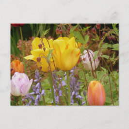Blommor för vykort för utlämnande