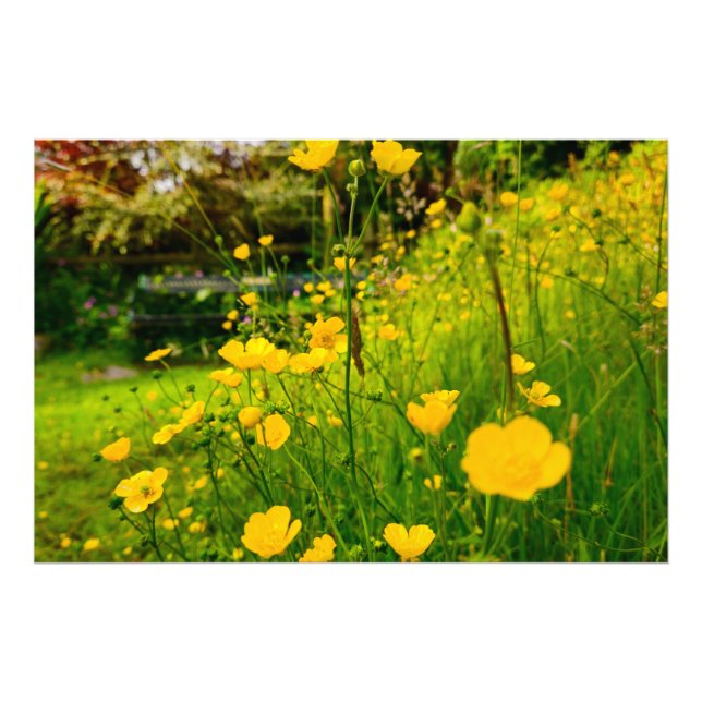 Blommor Fototryck (Framsidan)
