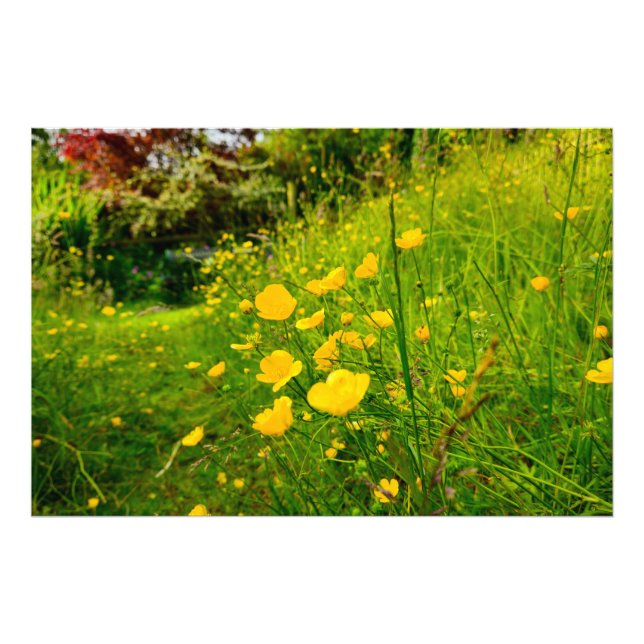 Blommor Fototryck (Framsidan)