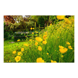 Blommor Fototryck